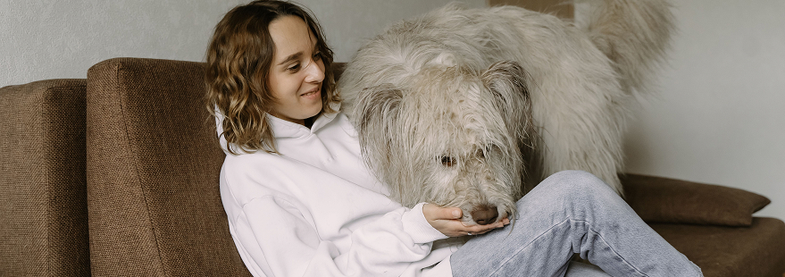 Propriétaire d'un chien