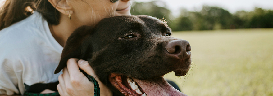 Un chien et sa propriétaire