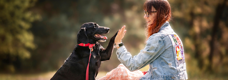 Alliance d'une priopriétaire et son chien